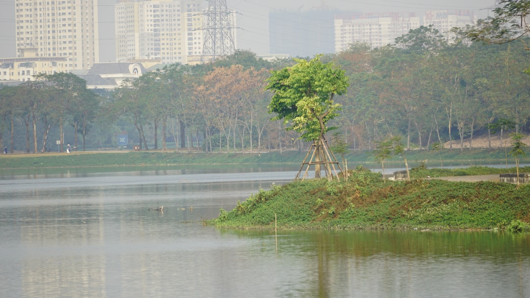 緑豊かで涼しい未来の都市
