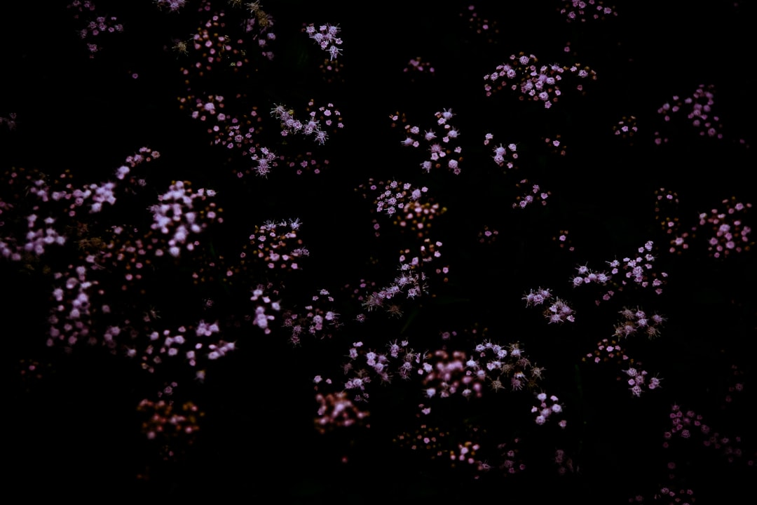 踊る分子が細胞を刺激するイメージ