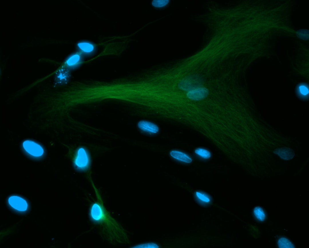 タンパク質の分子構造