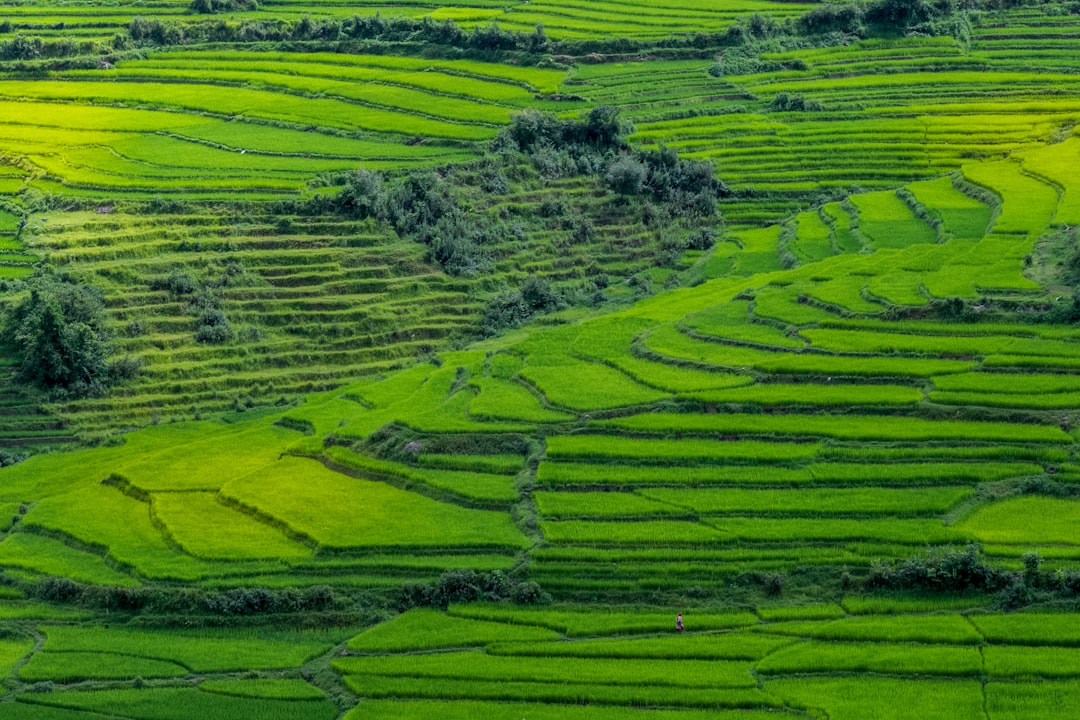 環境に優しい農業