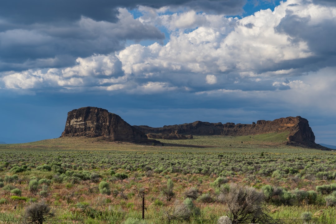 アポロ計画が持ち帰った月の岩石サンプル