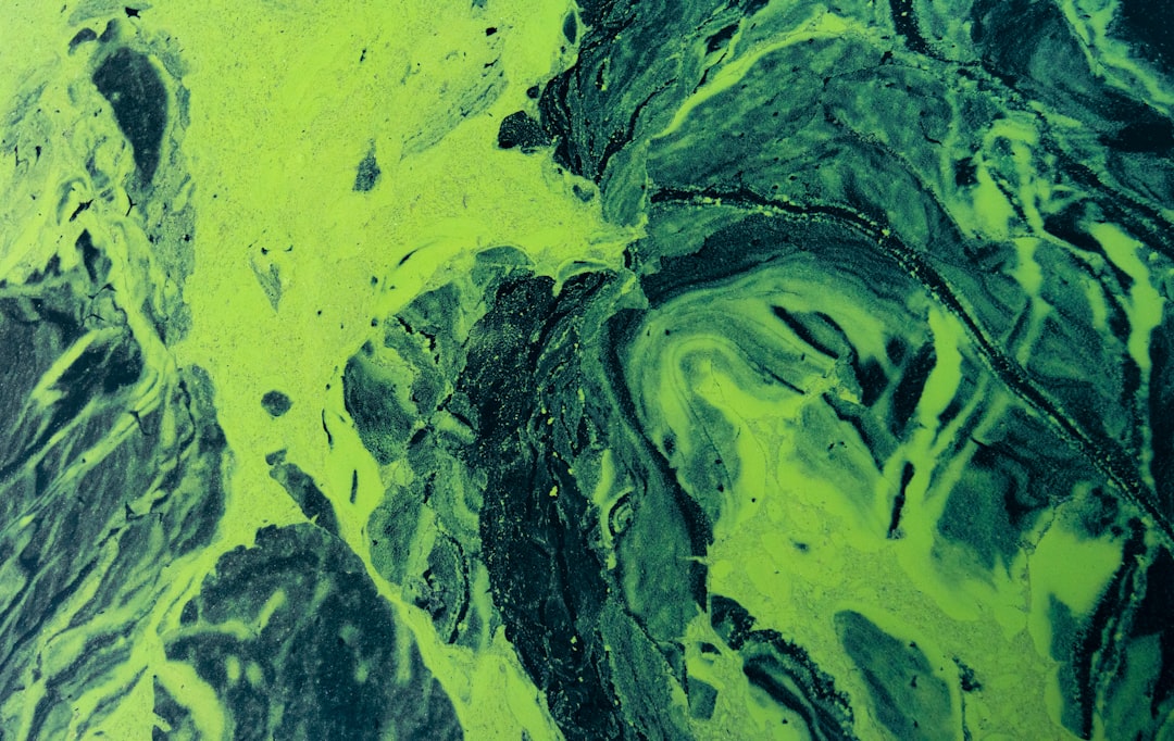 顕微鏡で見た腸内細菌