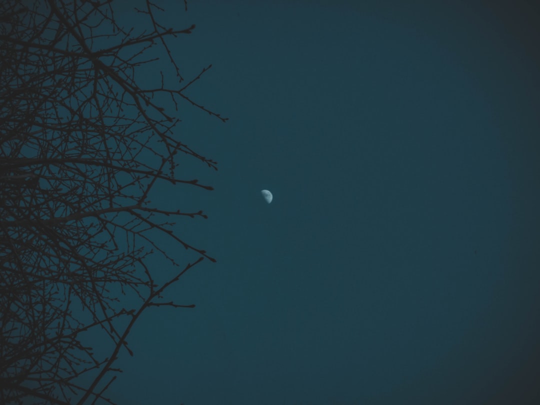 土星と失われた衛星のイメージ