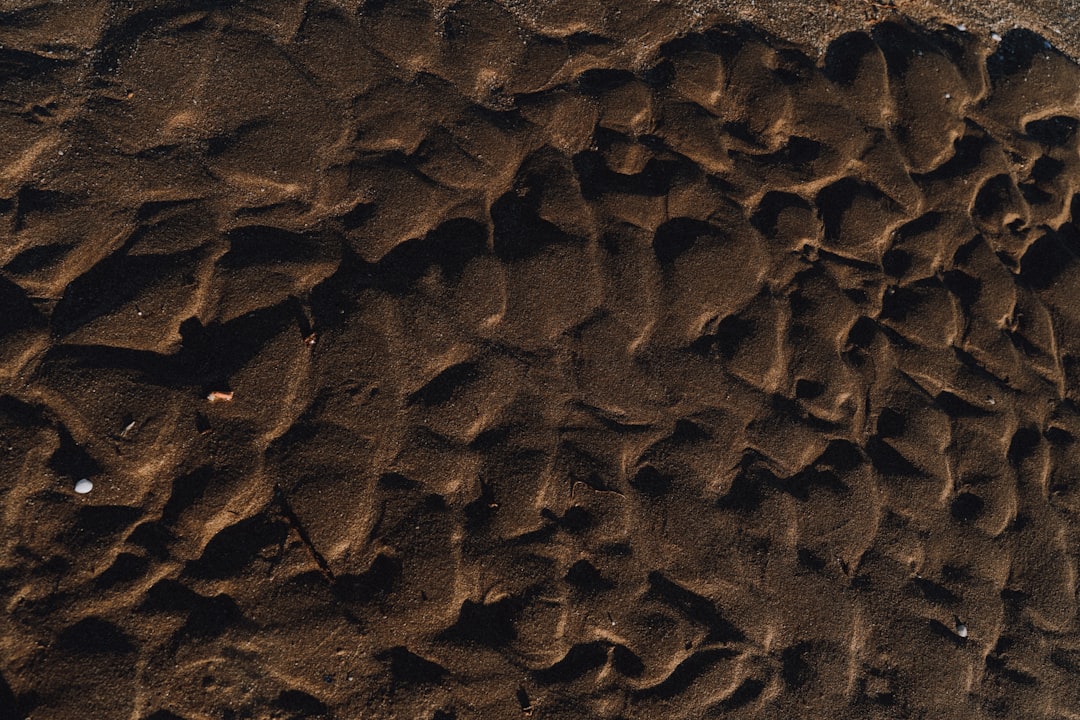 火星の岩に刻まれた網目状の模様