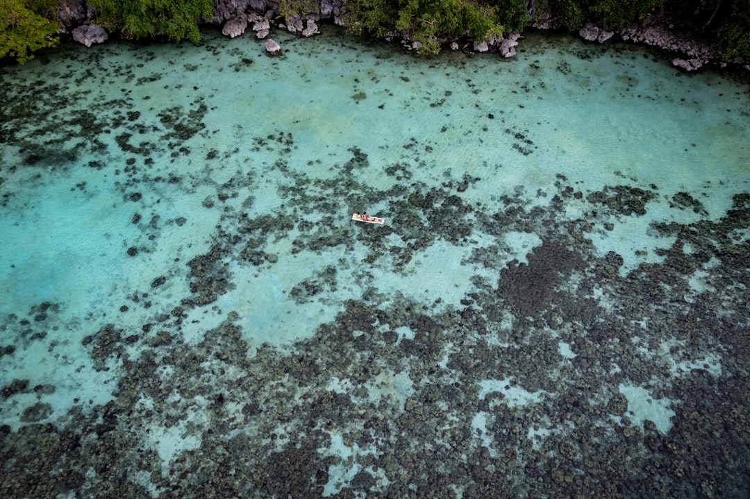 プラスチックごみが漂着した無人島の海岸