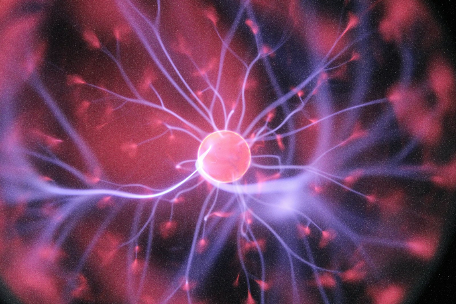 脳内のニューロンが発火する様子
