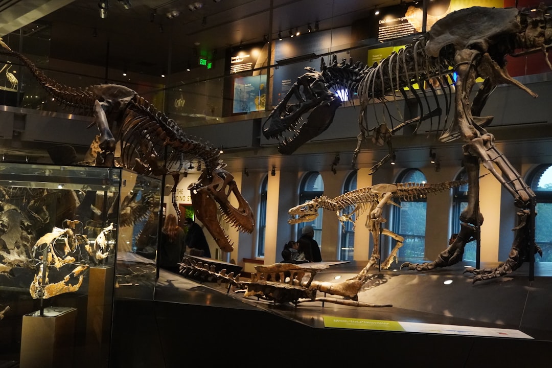 博物館に展示されたティラノサウルスの全身骨格