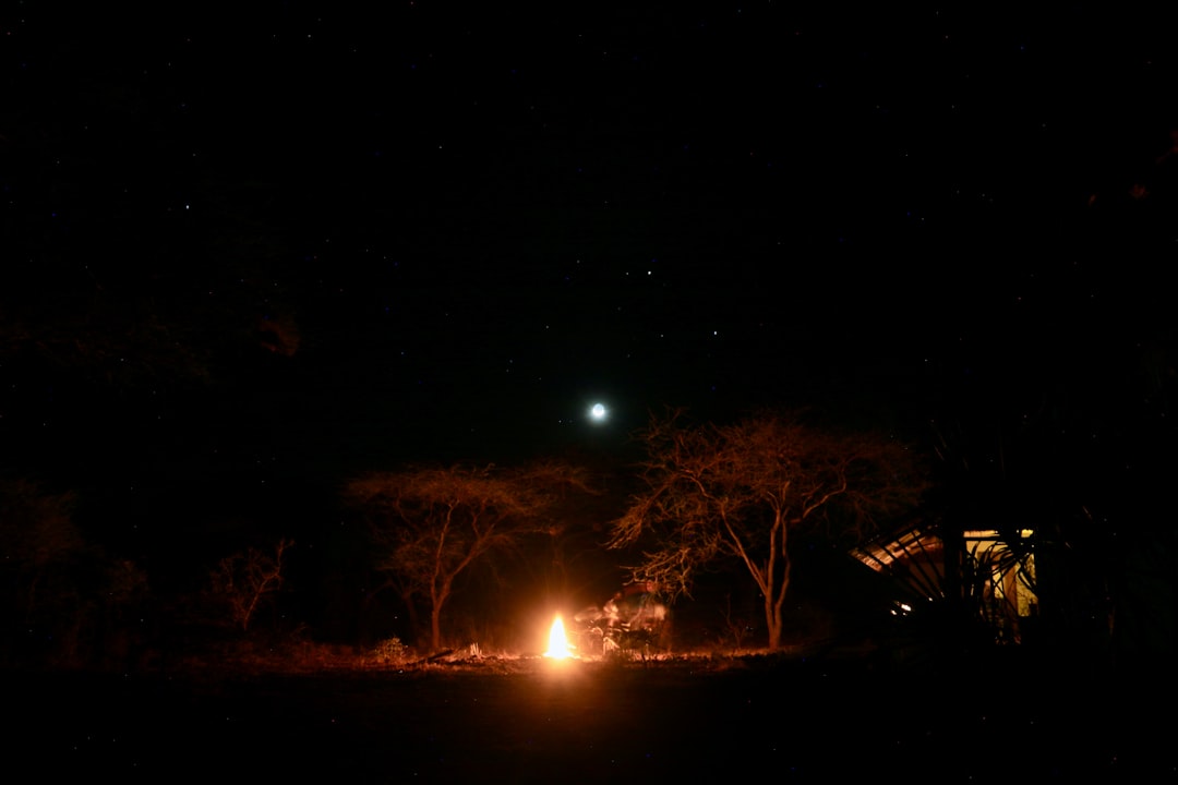 夜のサバンナで燃える野火