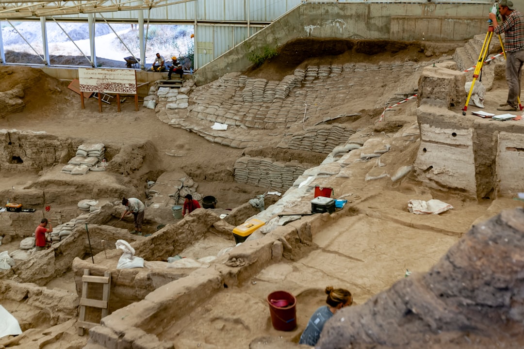 古代DNA解析のイメージ