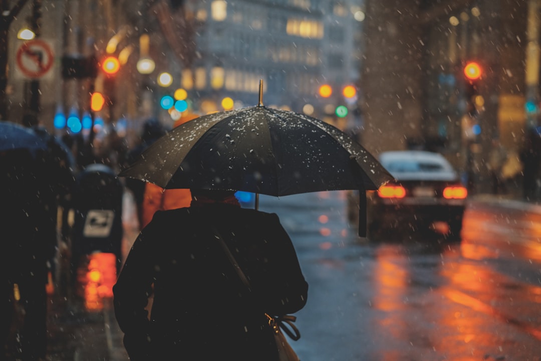 雨の日の傘