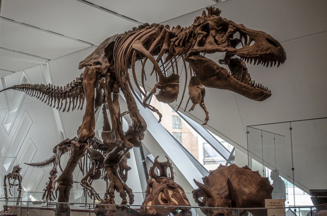 白亜紀末の恐竜絶滅を象徴する骨格化石