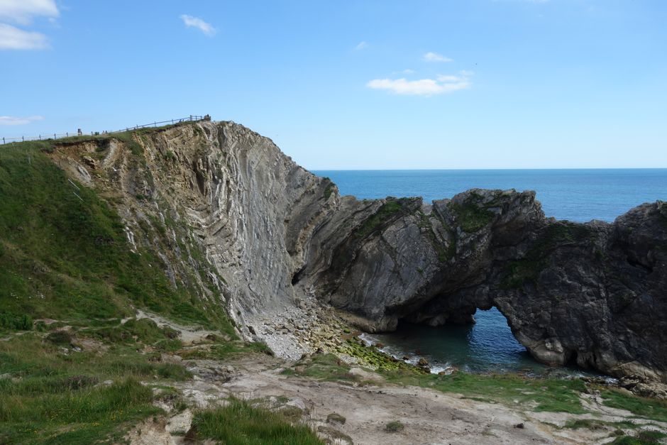 イギリスの海岸での化石発掘
