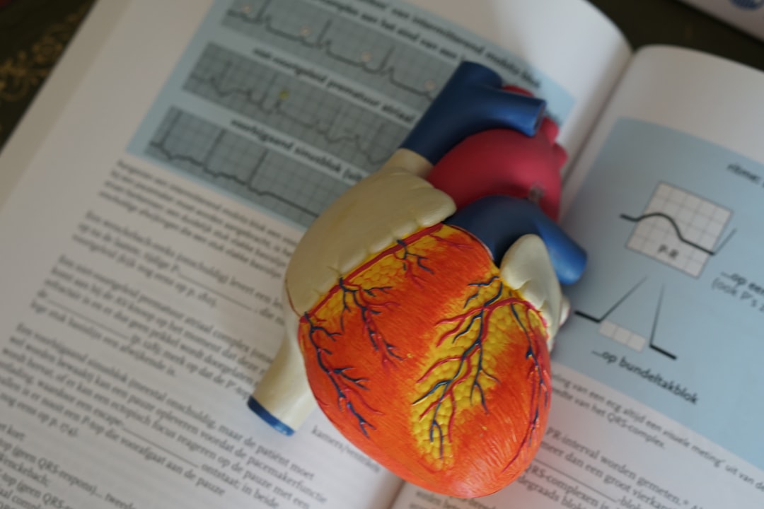 生物の教科書のイメージ