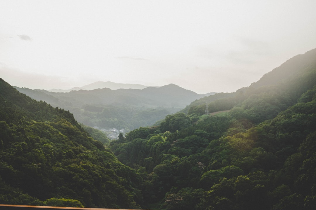 日本の里山の風景。棚田と森の境界